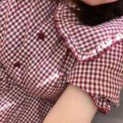 ヒメ日記 2025/03/22 12:35 投稿 こだま 白いぽっちゃりさん