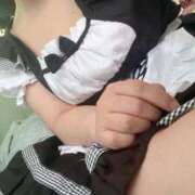 ヒメ日記 2025/04/12 19:22 投稿 こだま 白いぽっちゃりさん