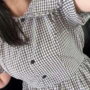 ヒメ日記 2025/06/06 11:22 投稿 こだま 白いぽっちゃりさん