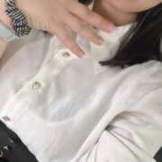 ヒメ日記 2025/07/05 11:22 投稿 こだま 白いぽっちゃりさん