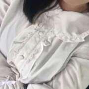 ヒメ日記 2025/07/12 11:22 投稿 こだま 白いぽっちゃりさん