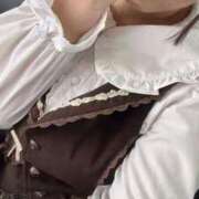 ヒメ日記 2025/08/11 11:22 投稿 こだま 白いぽっちゃりさん