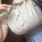 ヒメ日記 2025/08/23 16:32 投稿 こだま 白いぽっちゃりさん