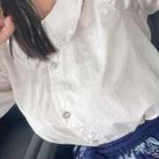 ヒメ日記 2025/08/24 11:03 投稿 こだま 白いぽっちゃりさん