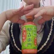 ヒメ日記 2026/01/19 21:13 投稿 こだま 白いぽっちゃりさん