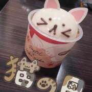 ヒメ日記 2026/02/22 22:22 投稿 こだま 白いぽっちゃりさん