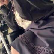 ヒメ日記 2026/02/23 11:22 投稿 こだま 白いぽっちゃりさん