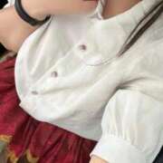 ヒメ日記 2026/08/11 11:34 投稿 こだま 白いぽっちゃりさん