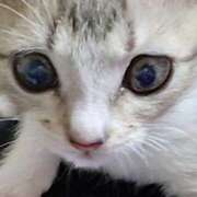 ヒメ日記 2025/08/11 14:35 投稿 しょう 熟女の風俗最終章 西川口店