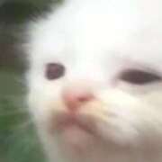 ヒメ日記 2025/11/09 13:12 投稿 しょう 熟女の風俗最終章 西川口店