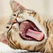 ヒメ日記 2025/11/15 18:02 投稿 しょう 熟女の風俗最終章 西川口店