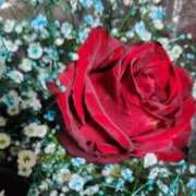 ヒメ日記 2025/12/29 14:55 投稿 しょう 熟女の風俗最終章 西川口店