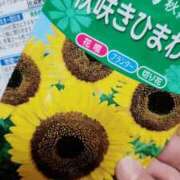 ヒメ日記 2026/08/12 12:06 投稿 しょう 熟女の風俗最終章 西川口店