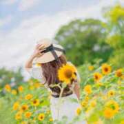 ヒメ日記 2023/07/26 13:06 投稿 東雲かなみ 一夜妻