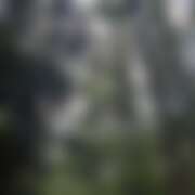 ヒメ日記 2026/03/04 21:03 投稿 ねね ○コキクリニック～○○クリニックシリーズ～