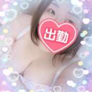 ヒメ日記 2025/03/08 23:09 投稿 ゆうり 愛媛松山ちゃんこ