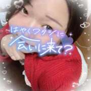 ヒメ日記 2025/03/27 15:31 投稿 ゆうり 愛媛松山ちゃんこ