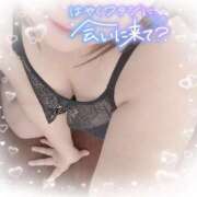 ヒメ日記 2025/03/30 12:19 投稿 ゆうり 愛媛松山ちゃんこ