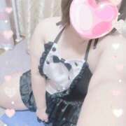 ヒメ日記 2025/04/03 16:19 投稿 ゆうり 愛媛松山ちゃんこ