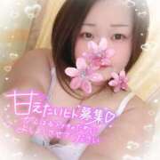 ヒメ日記 2025/04/05 19:29 投稿 ゆうり 愛媛松山ちゃんこ