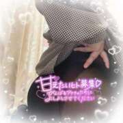 ヒメ日記 2025/04/14 21:49 投稿 ゆうり 愛媛松山ちゃんこ