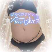 ヒメ日記 2025/05/11 14:39 投稿 ゆうり 愛媛松山ちゃんこ