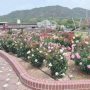 ヒメ日記 2025/05/22 19:29 投稿 ゆうり 愛媛松山ちゃんこ