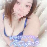 ヒメ日記 2025/05/30 01:39 投稿 ゆうり 愛媛松山ちゃんこ