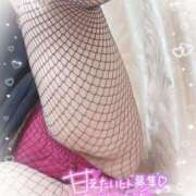 ヒメ日記 2025/08/01 22:19 投稿 ゆうり 愛媛松山ちゃんこ