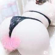 ヒメ日記 2025/08/04 21:59 投稿 ゆうり 愛媛松山ちゃんこ