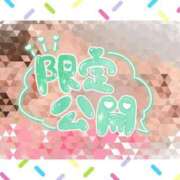 ヒメ日記 2025/10/11 15:00 投稿 ゆうり 愛媛松山ちゃんこ