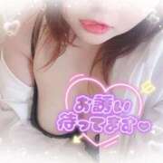 ヒメ日記 2025/11/01 13:59 投稿 ゆうり 愛媛松山ちゃんこ