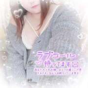 ヒメ日記 2025/11/03 15:49 投稿 ゆうり 愛媛松山ちゃんこ