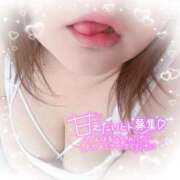 ヒメ日記 2025/11/09 16:29 投稿 ゆうり 愛媛松山ちゃんこ