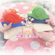 ヒメ日記 2025/11/22 12:29 投稿 ゆうり 愛媛松山ちゃんこ