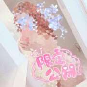 ヒメ日記 2025/12/02 16:52 投稿 ゆうり 愛媛松山ちゃんこ