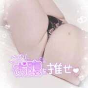 ヒメ日記 2026/02/09 17:09 投稿 ゆうり 愛媛松山ちゃんこ