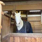 ヒメ日記 2026/02/21 18:09 投稿 ゆうり 愛媛松山ちゃんこ