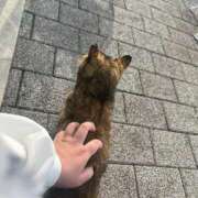 ヒメ日記 2026/02/22 15:09 投稿 ゆうり 愛媛松山ちゃんこ