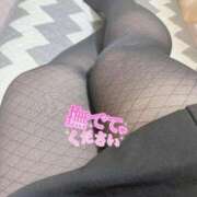 ヒメ日記 2026/02/28 21:09 投稿 ゆうり 愛媛松山ちゃんこ