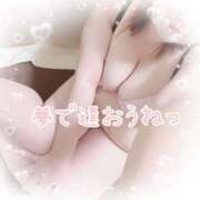 ヒメ日記 2026/03/06 00:59 投稿 ゆうり 愛媛松山ちゃんこ