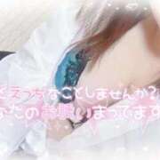 ヒメ日記 2026/03/11 16:19 投稿 ゆうり 愛媛松山ちゃんこ