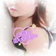 ヒメ日記 2026/03/13 16:59 投稿 ゆうり 愛媛松山ちゃんこ