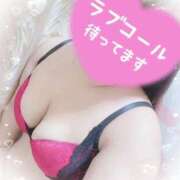 ヒメ日記 2026/03/14 17:39 投稿 ゆうり 愛媛松山ちゃんこ