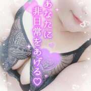 ヒメ日記 2026/03/14 21:39 投稿 ゆうり 愛媛松山ちゃんこ