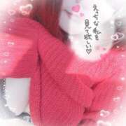 ヒメ日記 2026/04/05 16:32 投稿 ゆうり 愛媛松山ちゃんこ