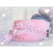 ヒメ日記 2026/06/06 00:21 投稿 ゆうり 愛媛松山ちゃんこ
