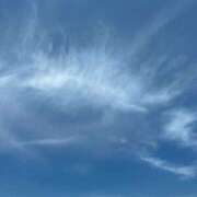 ヒメ日記 2025/04/12 12:57 投稿 れい 岐阜岐南各務原ちゃんこ