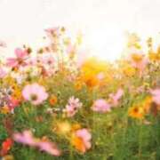 ヒメ日記 2025/07/31 06:56 投稿 れい 岐阜岐南各務原ちゃんこ