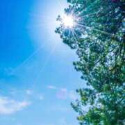 ヒメ日記 2025/07/31 14:37 投稿 れい 岐阜岐南各務原ちゃんこ